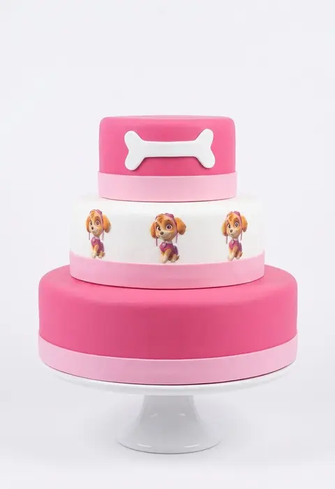 Maquete rosa Sky 3 andaras